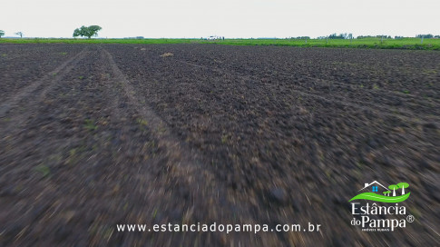 DOS EÓLICOS VIRA P FAZENDA_Moment.00_07_33_00.Quadro290_81397d203c6c0c25d09ebd3804f2b009c678a196.jpg